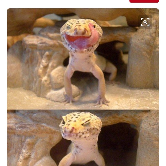 Profile Picture of Noah Powers (@noahcastielle) on Poshmark