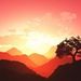 Profile Picture of Kuei Lan Peng (@kueilanp) on Pinterest