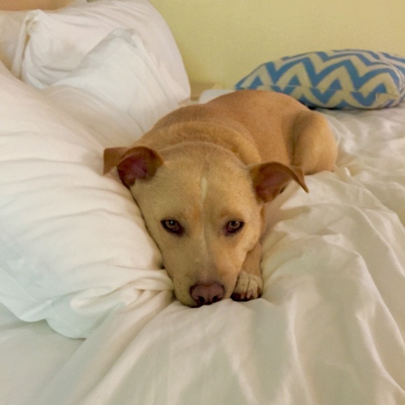 Taylor Rudgers - Poshmark Profile Picture of Taylor Rudgers (@trudgers) on Poshmark