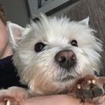 Profile Picture of Amanda Cadden (@caddenamanda) on Instagram