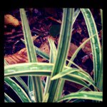 Profile Picture of nathanboykin14 (@nathanboykin14) on Instagram