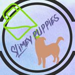 Profile Picture of Slimeypuppies (@laura.quicky) on Instagram