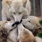 Profile Picture of David Moxley (@moxleyr2) on Instagram