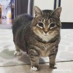 Profile Picture of Daniel Lupoli (@daniellupolli) on Instagram