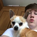 Profile Picture of Jared Rush (@jr_russian_master) on Instagram