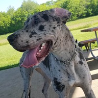 Profile Picture of Adam Dassow (@adam-dassow) on Quora