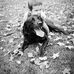 Profile Picture of Jim Kiefer (@jim.kiefer.9083) on Facebook