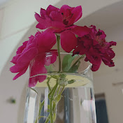 Profile Picture of Manisha Gandhi (@manishagandhi6788) on Youtube