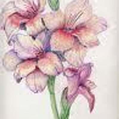 Profile Picture of Lidia Laura Zegarra (@lidia1l2z) on Twitter