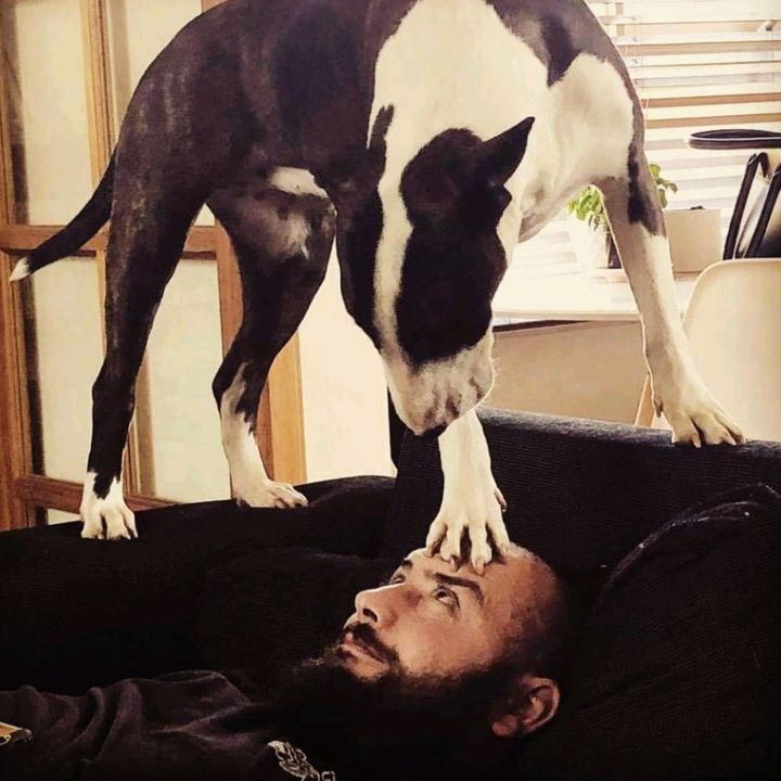 Profile Picture of Michael Hovey (@y3voh) on Tiktok