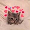 Profile Picture of LMAO (@tina_shim.6789) on Tiktok
