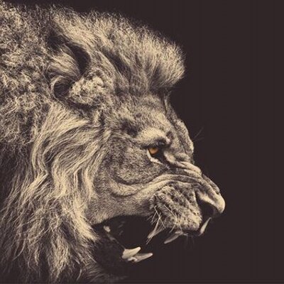 Profile Picture of Sayed Asif (@asifsayed_sa) on Twitter