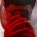 Profile Picture of Erick Irizarry (Paquito) (@Erick-Irizarry) on Facebook