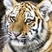 Profile Picture of Doug Batcheller (@doug.batcheller.1) on Facebook