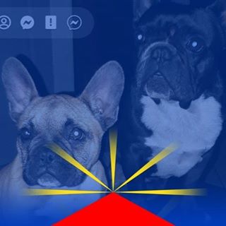 Profile Picture of Michel Poisson (@michel.poisson.338) on Facebook