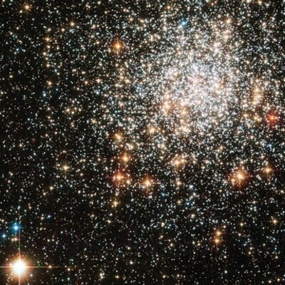 Profile Picture of Jennifer Wenger (@jen_wen) on Twitter