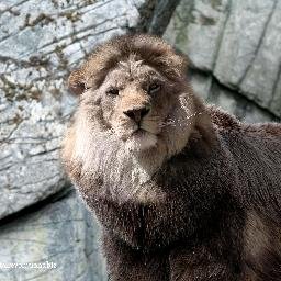 Profile Picture of Sami Omar (@samiomar516) on Twitter