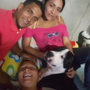 Profile Picture of Michael David Varón (@MichaelDavidVa4) on Twitter