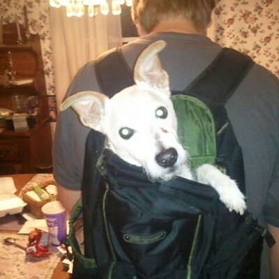 Profile Picture of Jon Havens (@@johanhavens) on Twitter