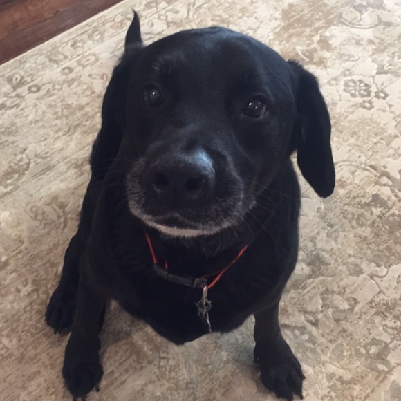 Profile Picture of Chris Angel (@5christopher) on Poshmark