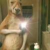 Profile Picture of kevinwr00 (@kevinwr00) on Tiktok