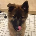 Profile Picture of Jean Lecomte (@jeanlecomte700) on Instagram