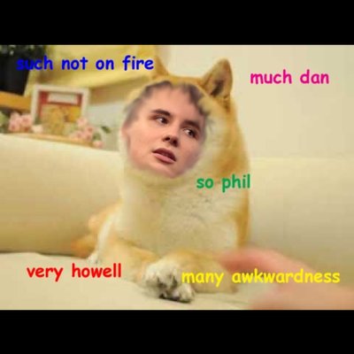 Profile Picture of Amelia Hogg (@amelia_hogg) on Twitter