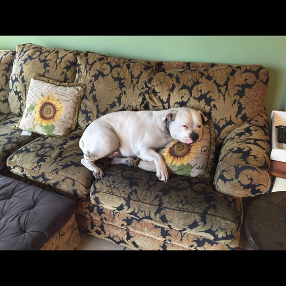 Profile Picture of Lisa Klemens (@restagno) on Poshmark