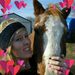 Profile Picture of Samantha Kramer (@horseyluv1992) on Pinterest