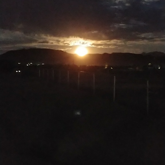 Profile Picture of Bradley Kinney (@bpitcherk85) on Poshmark