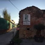 Profile Picture of Gino (@gino_marconi_piante) on Instagram