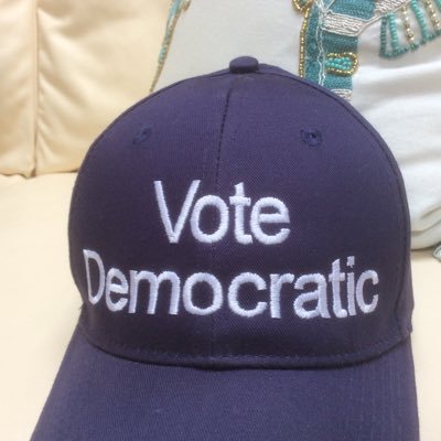 Profile Picture of 🌊❄Marc Slavin❄AnyOneButTrump❄VoteBlue2020❄️ 🌊 (@MarcVegan) on Twitter