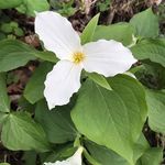 Profile Picture of Deborah McClure (@deborah.mcclure.129) on Instagram