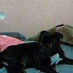 Profile Picture of George Barrow (@barrow.george) on Instagram