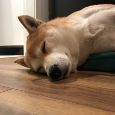 Profile Picture of Chloe Zhang (@tiantian1207) on Twitter