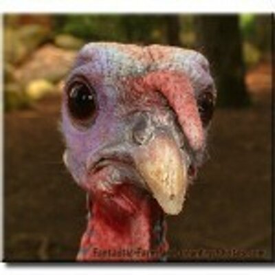 Profile Picture of Kevin Currier (@Kevin_Currier) on Twitter