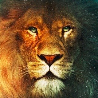 Profile Picture of Wilson Calderon (@Wilocal) on Twitter