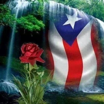 Profile Picture of Helen Conner (@helenconner321) on Twitter