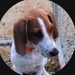 Profile Picture of Kevin Horner (@khorner12k) on Instagram