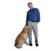 Profile Picture of Gordon Nuttall (@gordon.nuttall.1) on Facebook