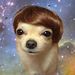 Profile Picture of Jim Horvath (@horvath0962) on Pinterest