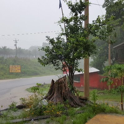 Profile Picture of David Balderrama (@DavidBa82457188) on Twitter