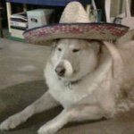 Profile Picture of James Santangelo (@jimequity99) on Instagram