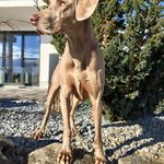 Profile Picture of Andrea Assert Andreas (@assertmalzwei) on Instagram
