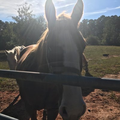 Profile Picture of Alyssa Ruby (@r94852319) on Twitter