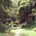 Daniel Belgardt - Instagram Profile Picture of Daniel Belgardt (@danielbelgardtofficial) on Instagram