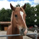 Profile Picture of Daniela.Lindinger (@daniela.lindinger) on Instagram