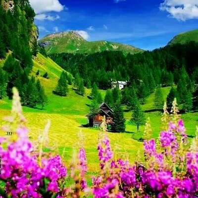 Profile Picture of Herminia Ramirez (@HerminiaRamir13) on Twitter