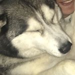 Profile Picture of Andrew Flory (@andrew.flory) on Instagram