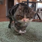 Profile Picture of Ethan Cartagena (@cartagena_ethan) on Instagram